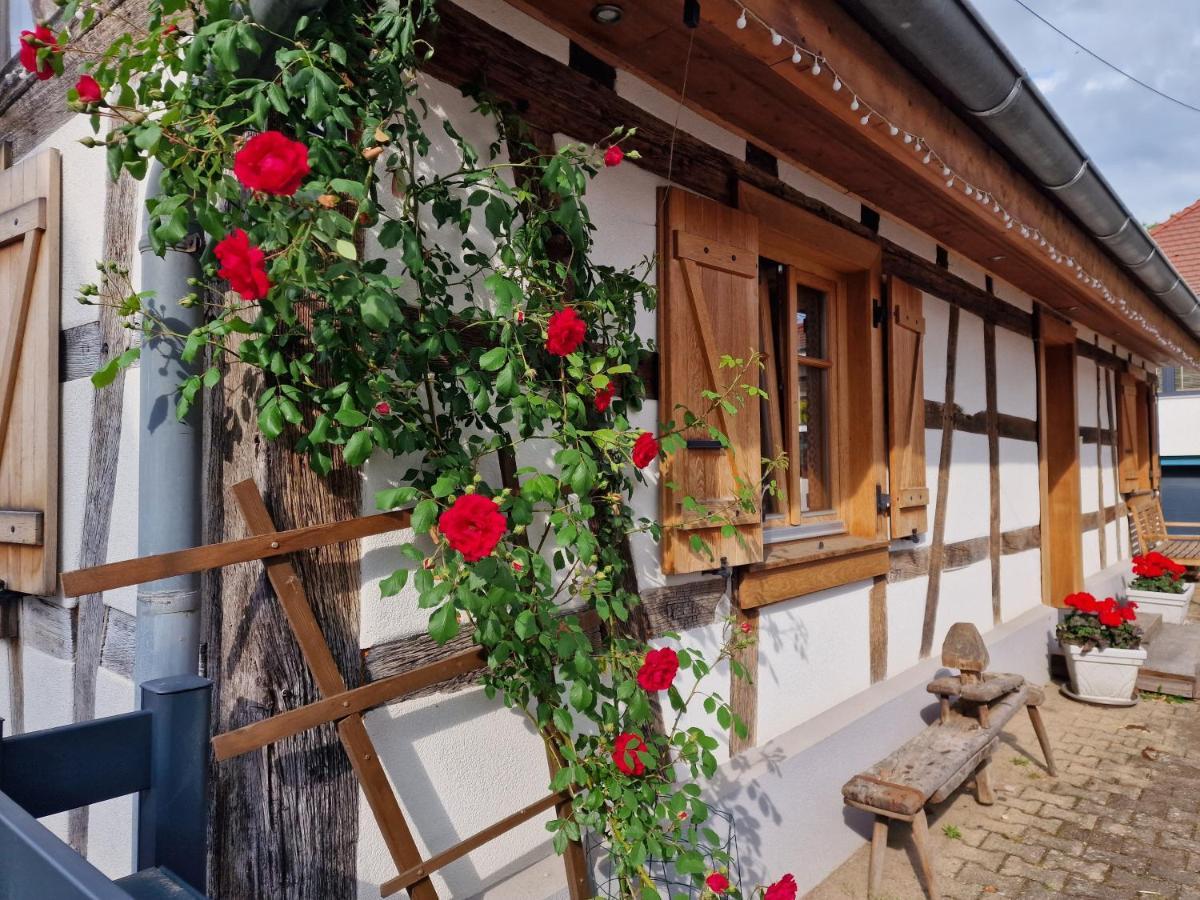 Une Maison A Colombages - Cosy, Lumineuse Et Sauna Kesseldorf Ngoại thất bức ảnh